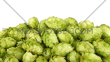 Close up heap of fresh green hops, ingredient for beer or herbal medicine, isolated on white background, low angle side view