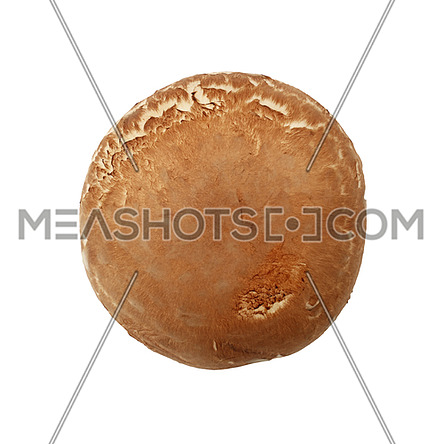 Close up one fresh brown portobello mushroom isolated on white background, elevated top view, directly above