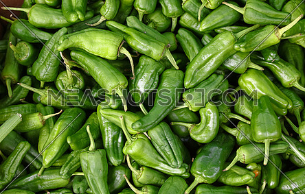 Close up background of fresh green padron hot chili peppers on retail display of farmers market, elevated top view, directly above