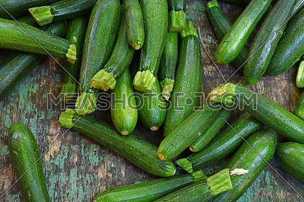 Close up fresh green new zucchini on retail display of farmers market, high angle view
