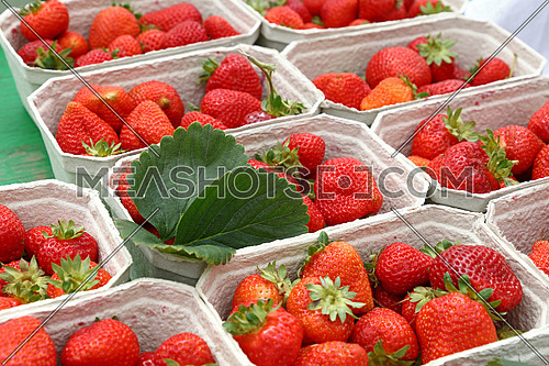 Close up red ripe fresh strawberry with green leaves in white cardboard paper crates on retail display of farmers market stall, high angle view