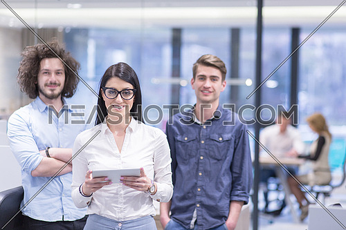 Portrait of young business people discussing business plan  in the startup office