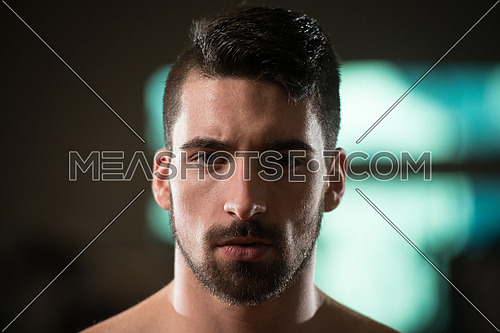 Portrait Of A Handsome Young Man  With Beard