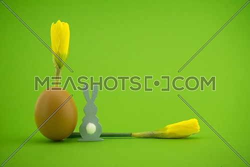 Creative Easter holiday or spring background with Narcissus flowers growing from eggshells and Easter Rabbit figure over a green background with free copy space for text