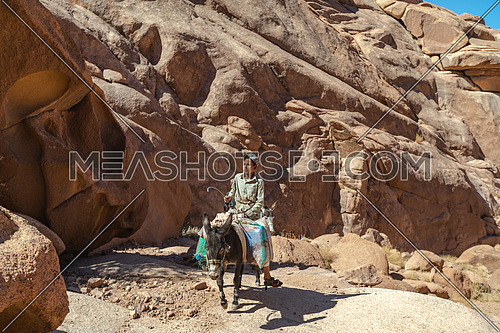 Bedouin children riding a donky at SInai Mountain at day