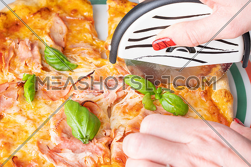Slicing fresh pizza with cheese(mozzarella), tomato, ham and small fresh basil leaves with special roller knife. Woman hand holding roller knife.