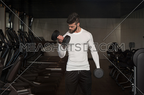 Young Man Exercise Biceps With Dumbbells - Dumbbell Concentration Curls
