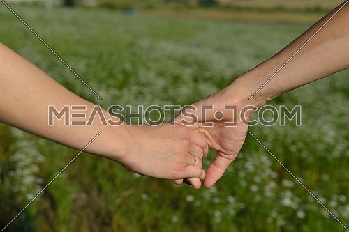 A couple holding hands in a filed of wheat