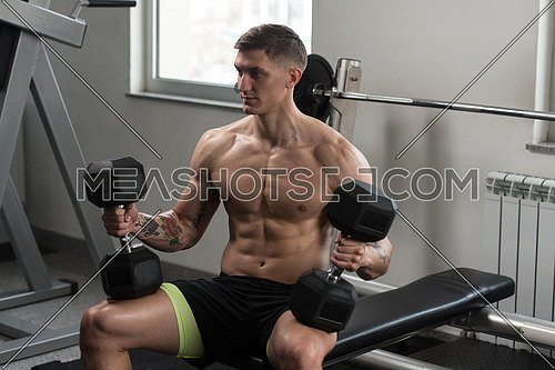 Fitness Man Preparing To Working Out Shoulders In Fitness Center - Dumbbell Concentration Curls