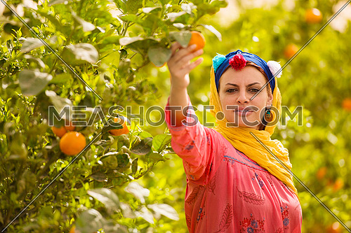 Young beautiful middle eastern woman enjoys the farm orange with a smile on her face on a sunny summer day