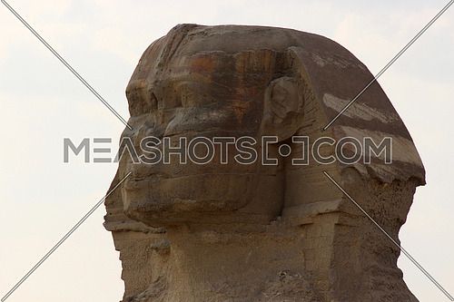 a close photo of sphinx statue in Giza pyramids area , Egypt