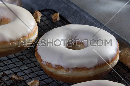 top side view  of white glazed donuts with walnuts aside, hazelnuts