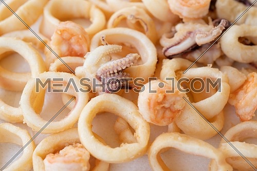 fried squids or octopus (calamari) and prawns close up, isolated on white background