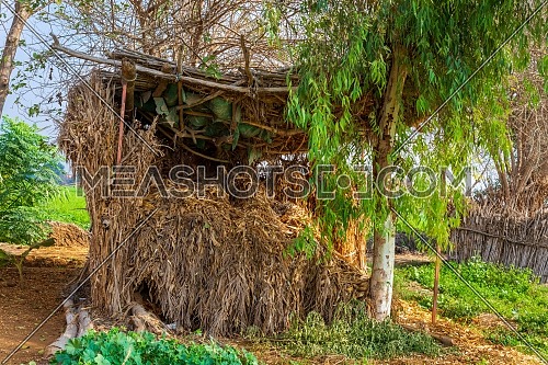 Exotic straw rocked hut with straw roof surrounded by tropical green trees and grass at traditional Egyptian village on sunny day