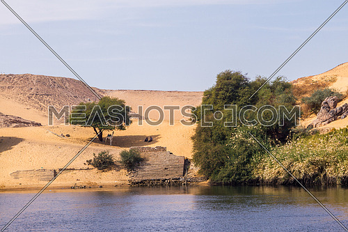 Nile river bank, Aswan Egypt
