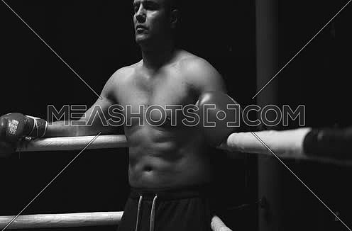Boxer In Ring Ready To Fight