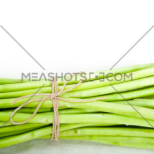 fresh asparagus from the garden over white background