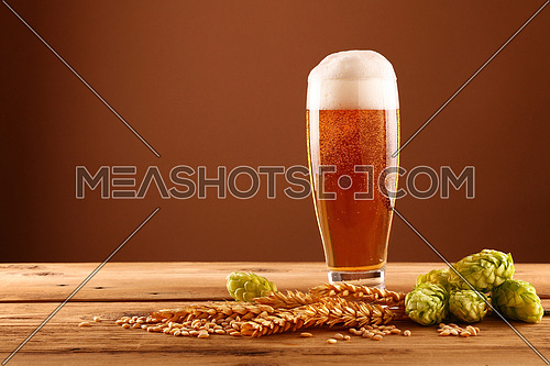 Close up one glass of beer with froth and bubbles, green hops and barley grain and spikes on wooden table over dark brown background with copy space, low angle side view