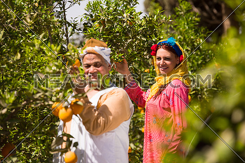 portrait of an elderly middle eastern farmers and young women on the farm orange with a smile on the faces of a sunny summer day