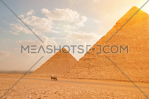 The great pyramids of giza in EGYPT