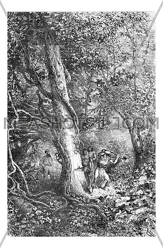 Chopping Down a Tree Using a Hand Axe in Oiapoque, Brazil, drawing by Riou from a sketch by Dr. Crevaux, vintage engraved illustration. Le Tour du Monde, Travel Journal, 1880