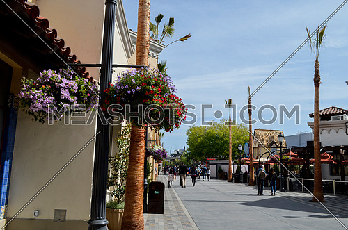 a street view with trees and flowers on the side