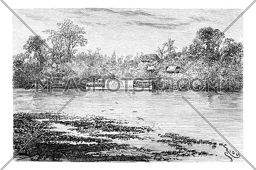 The Steam Ship Canuman Along the Ica River in Amazonas, Brazil, drawing by Riou from a photograph, vintage engraved illustration. Le Tour du Monde, Travel Journal, 1881