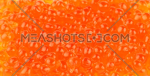 Background pattern of salmon fish red caviar close up, elevated top view, high angle view