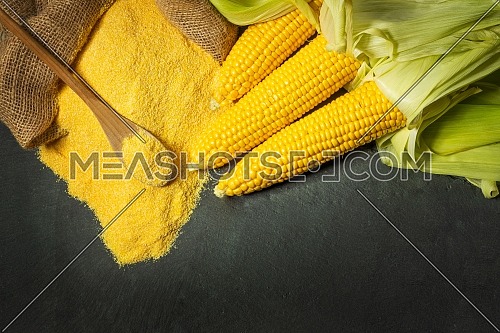 Ripe young sweet corn cob,on left stack cornmeal and spoon on top,dark background, copy space.Gluten free food concept