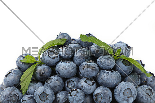 Heap of fresh washed blueberry berries wet with water drops and green mint leaves isolated on white background, close up, low angle view