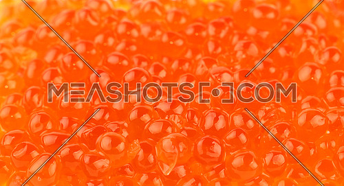 Background pattern of salmon fish red caviar close up, elevated top view, high angle view