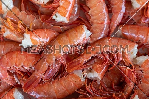 argentine red shrimp at the seafood market