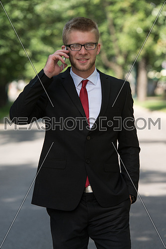 Young Businessman Talking On The Phone While Walking Outdoors In Park