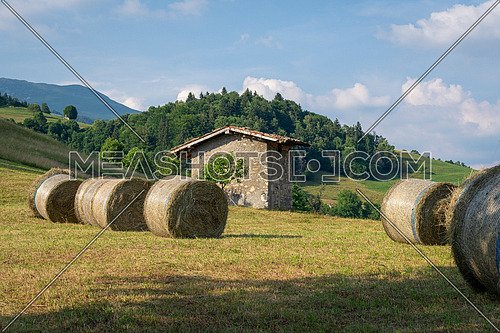 hay bale harvested in the mountain, fodder balls ready for winter time.