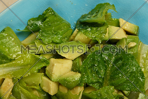 Close up bowl of fresh green vegetable salad with avocado and lettuce, high angle view