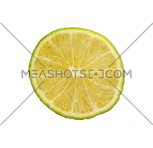 Close up one round thin cut slice of fresh green lime fruit, backlit and isolated on white background