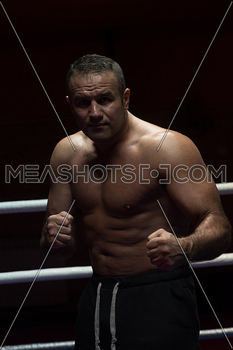 professional kickboxer with hands in martial arts position training for the fight in the training ring