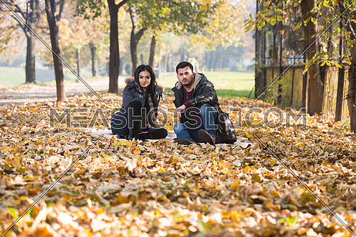 Happy Couple Sitting Together in the Woods During Autumn