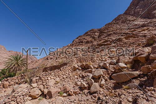 long shot for Sinai Mountain from Wadi Freij at day.