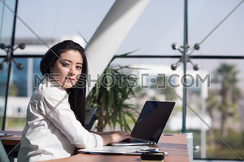 Young female executive working in the office using laptop