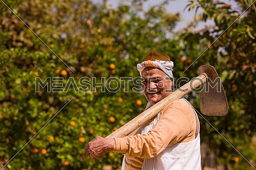 portrait of an elderly middle eastern farmers to farm orange with a smile on his face on a sunny summer day