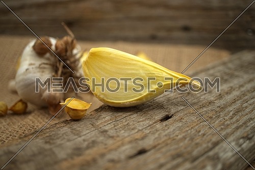 Elephant garlic (Allium ampeloprasum) bulb with corms and separated cloves prepared for planting on a rustic wooden board
