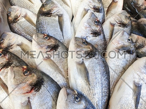 Many bream fish on ice for sale, Fish local market stall with fresh seafood,view from top.