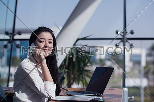 Young female executive working in the office using laptop