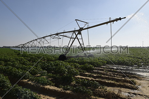 Pivot irrigation of agricultural fields