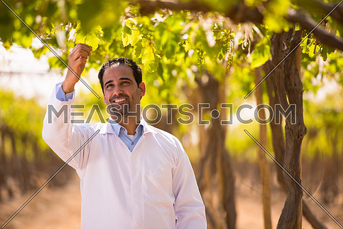 Portrait of a young middle eastern man on the farm of grapes with a smile on his face on a sunny summer day