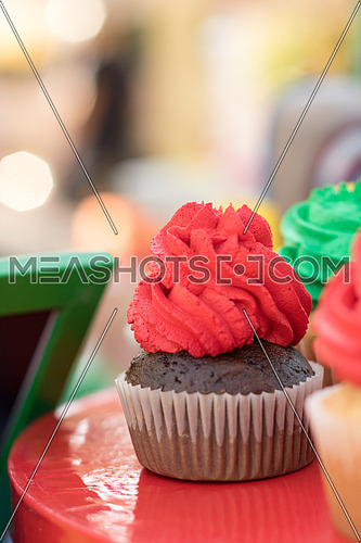 plate full of cupcakes with coloured frosting for kids