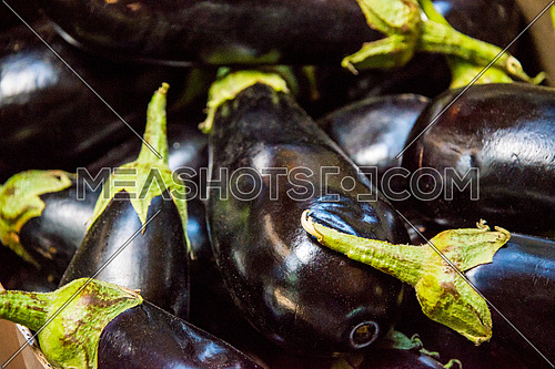 eggplants in display