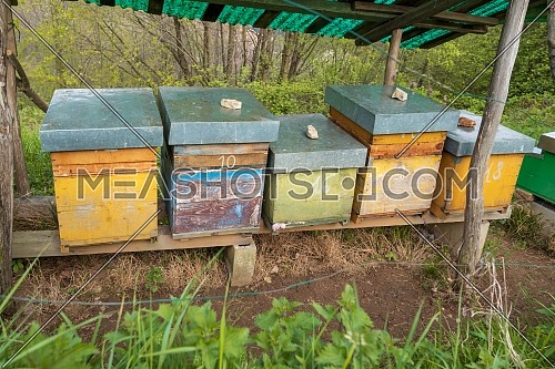 Bee hives on meadow in countryside of Italy,Bergamo(Seriana valley}The houses of the bees are placed on the green grass in the mountains. Private enterprise for beekeeping. Honey healthy food products.