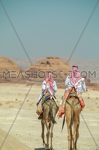 Two bediuon males riding a camels at Wadi Agarat area in Sinai at day.